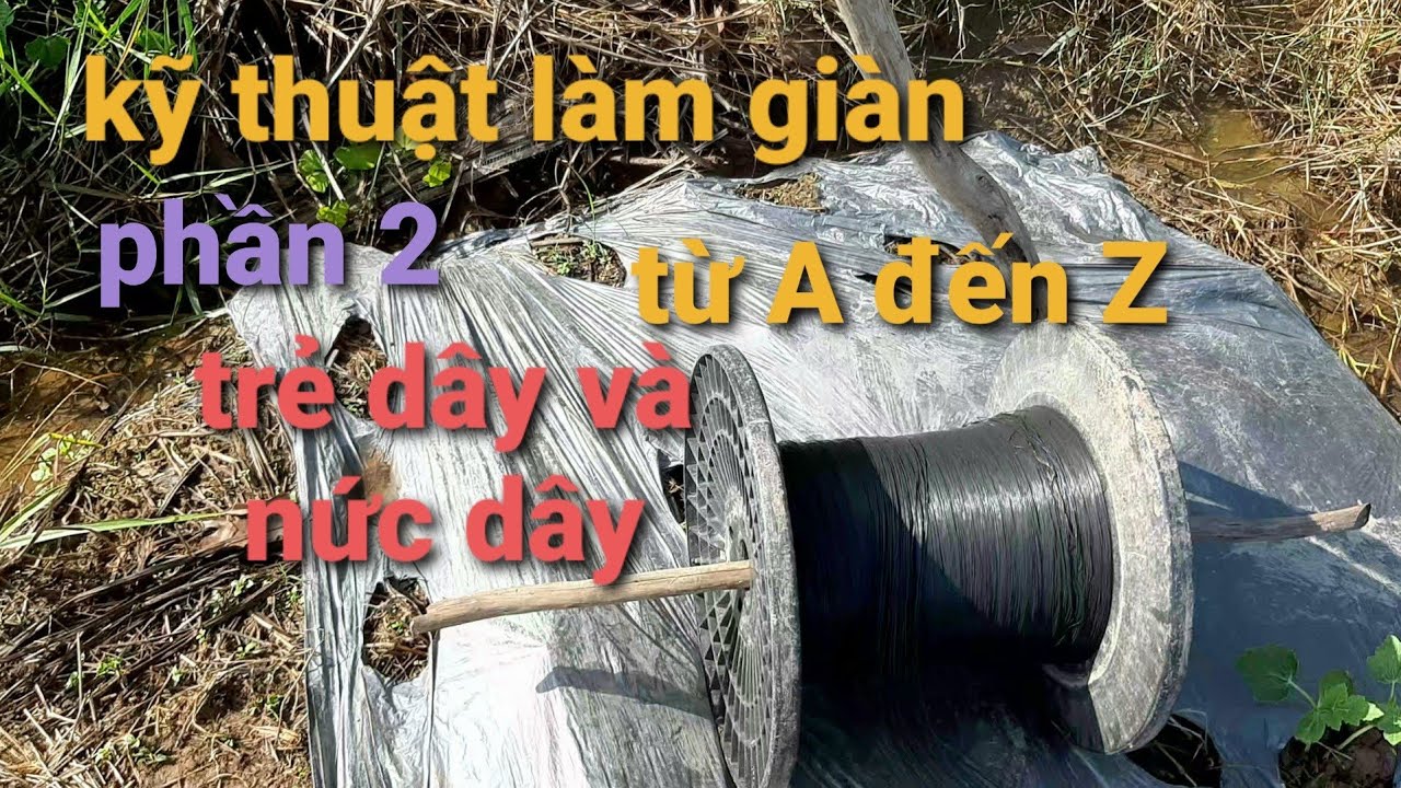 kỹ thuật làm giàn dưa leo từ A đến Z nhanh gọn/0939753759