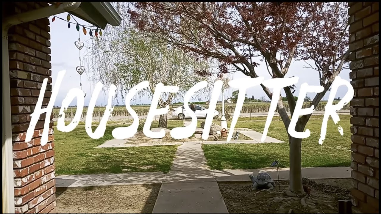 Housesitter (A Short Film)
