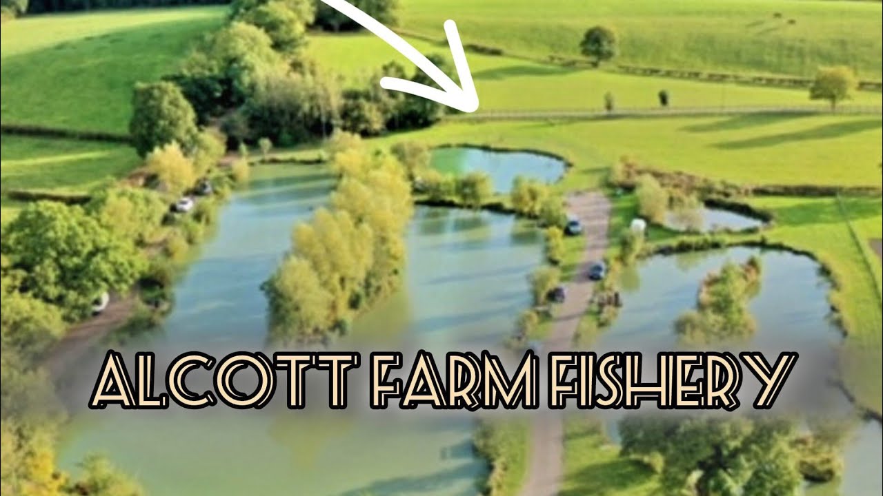 Alcott farm fishery,Another amazing day!!