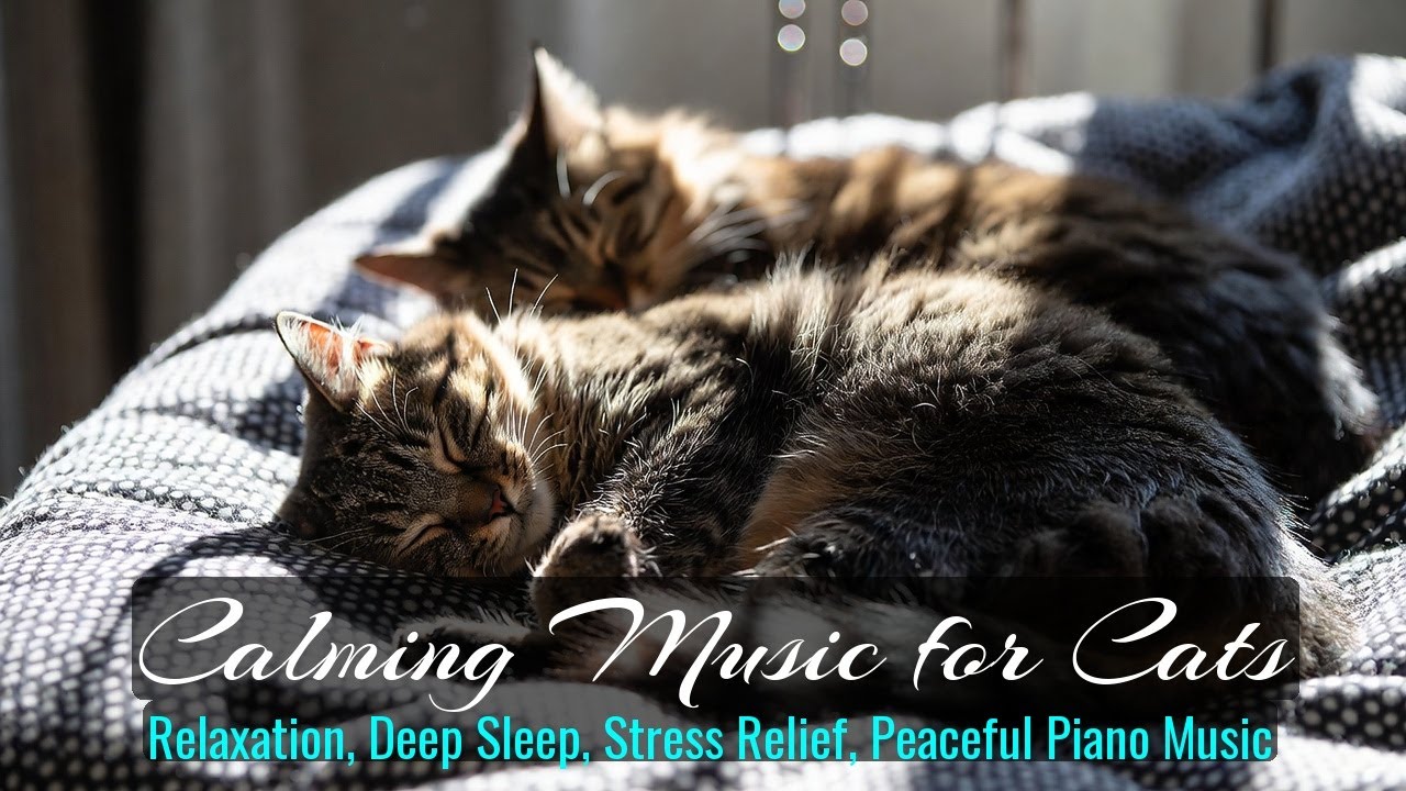 Calming Music for Cats - Relaxation, Deep Sleep, Stress Relief, Peaceful Piano Music | Season 45