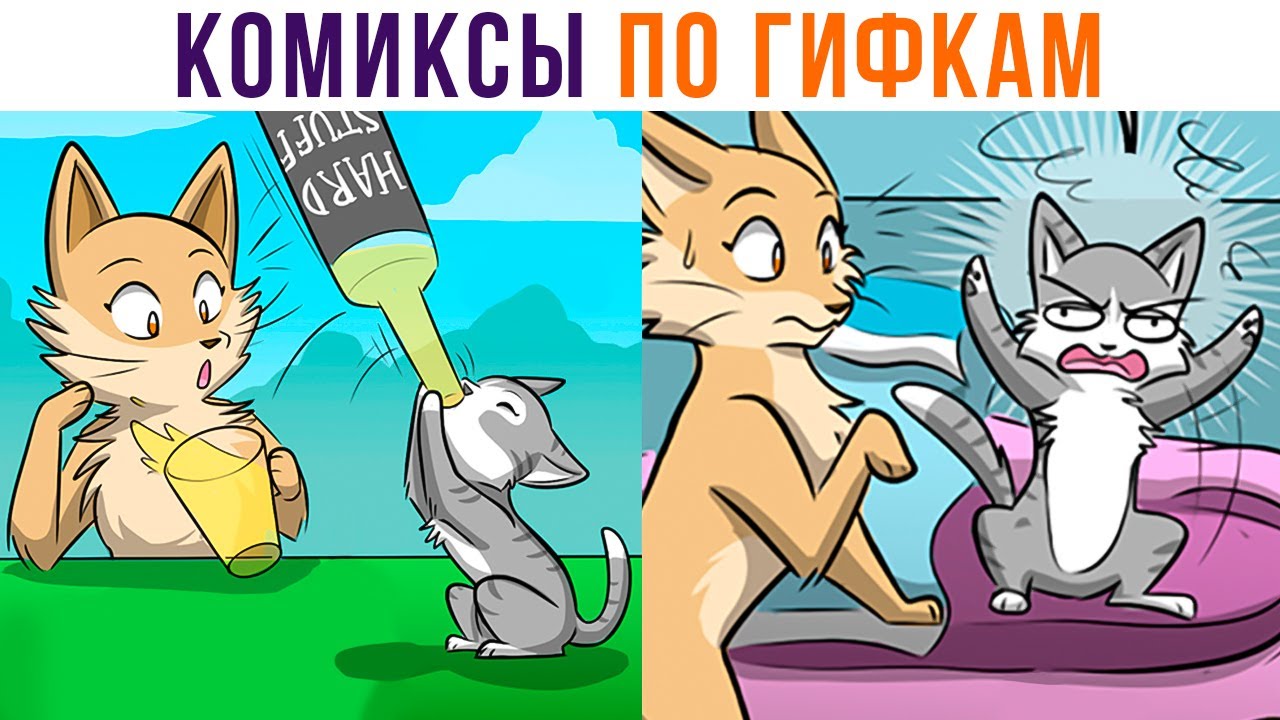 Комиксы по гифкам. ПЬЯНЫЙ КОТЁНОК))) | Мемозг 863