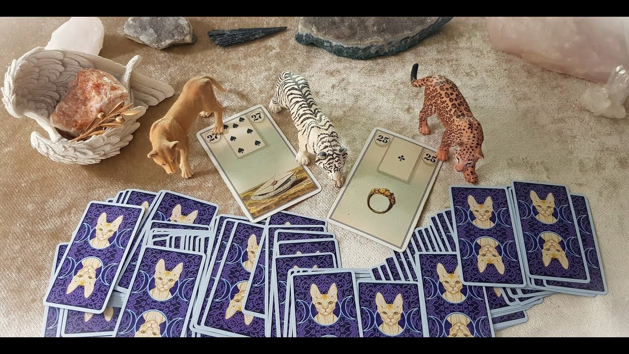 🪽❤️‍🔥DESEA VERTE ? QUÉ OCULTA SOBRE TI EN ESTE MOMENTO? QUÉ CONSECUENCIAS TRAE ESTA SITUACIÓN? ❤️‍🔥🪽