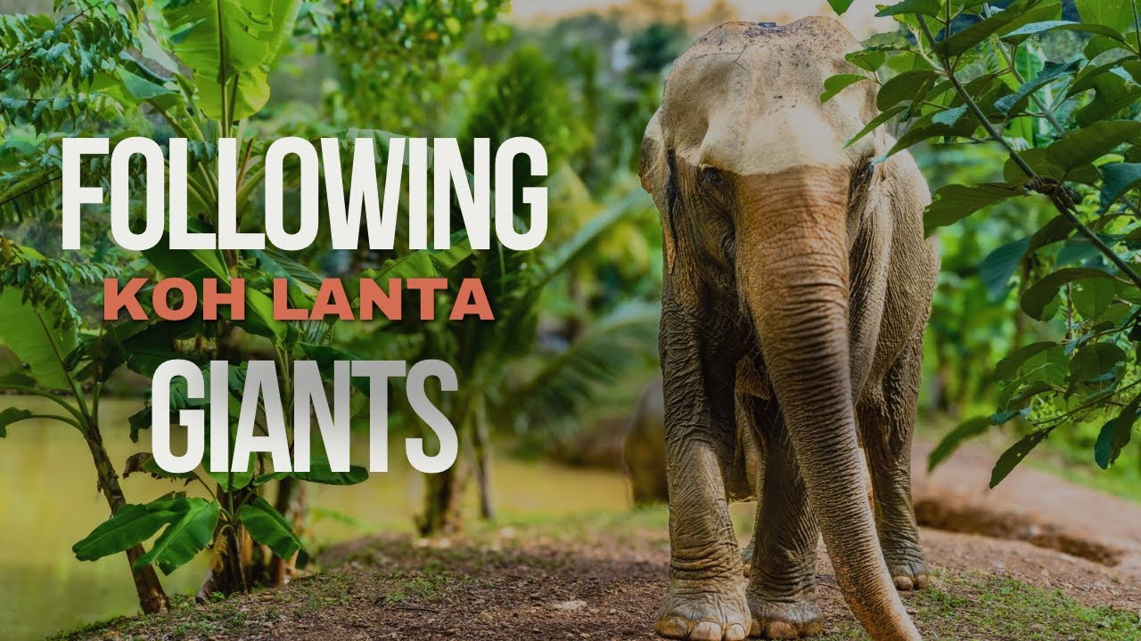 Walking with Giants: A Day at Following Giants, an Ethical Elephant Sanctuary on Koh Lanta