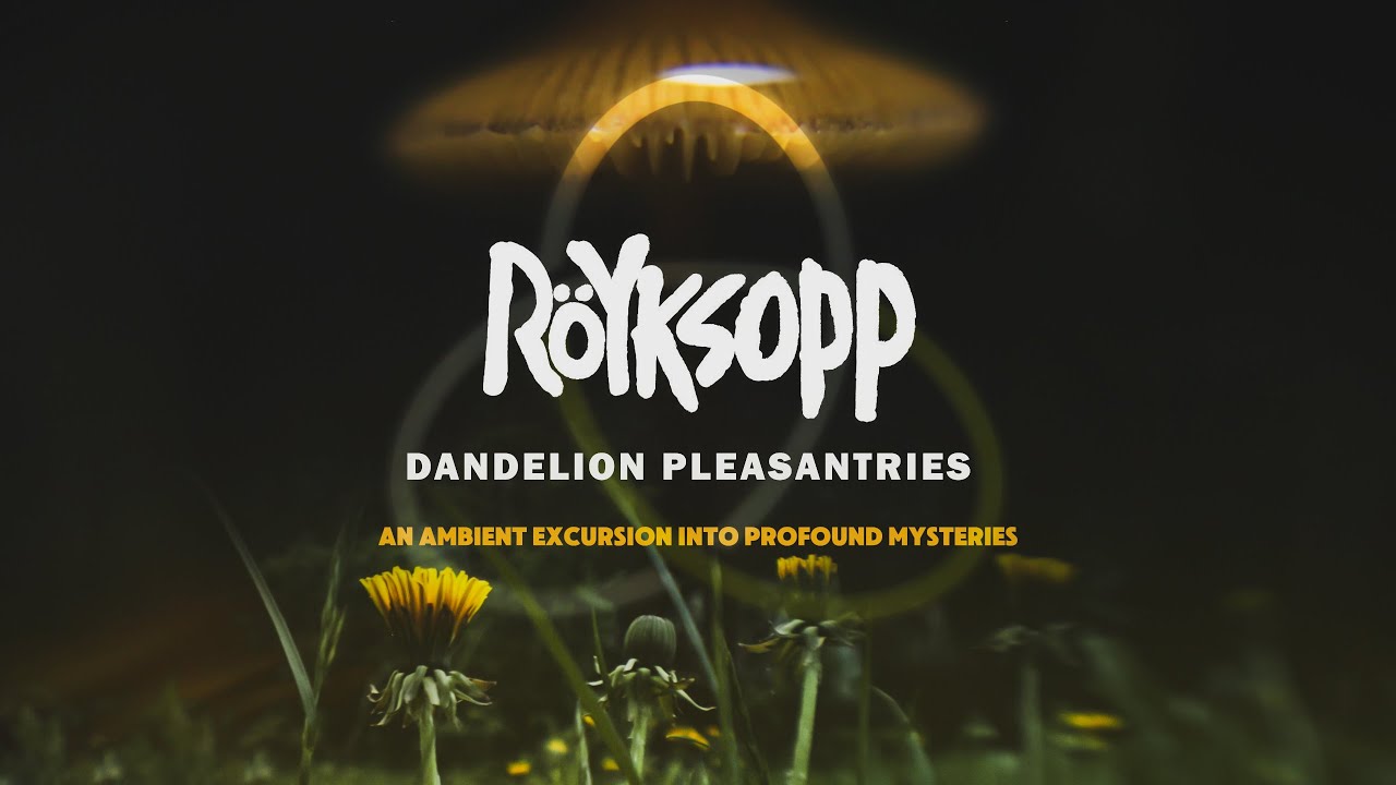 Röyksopp - Dandelion Pleasantries -  Nebulous Nights