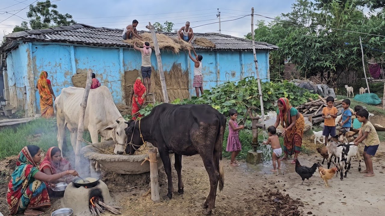 Inside Rural India: A Day of Hard Work, Family & Traditional Village Life 🇮🇳