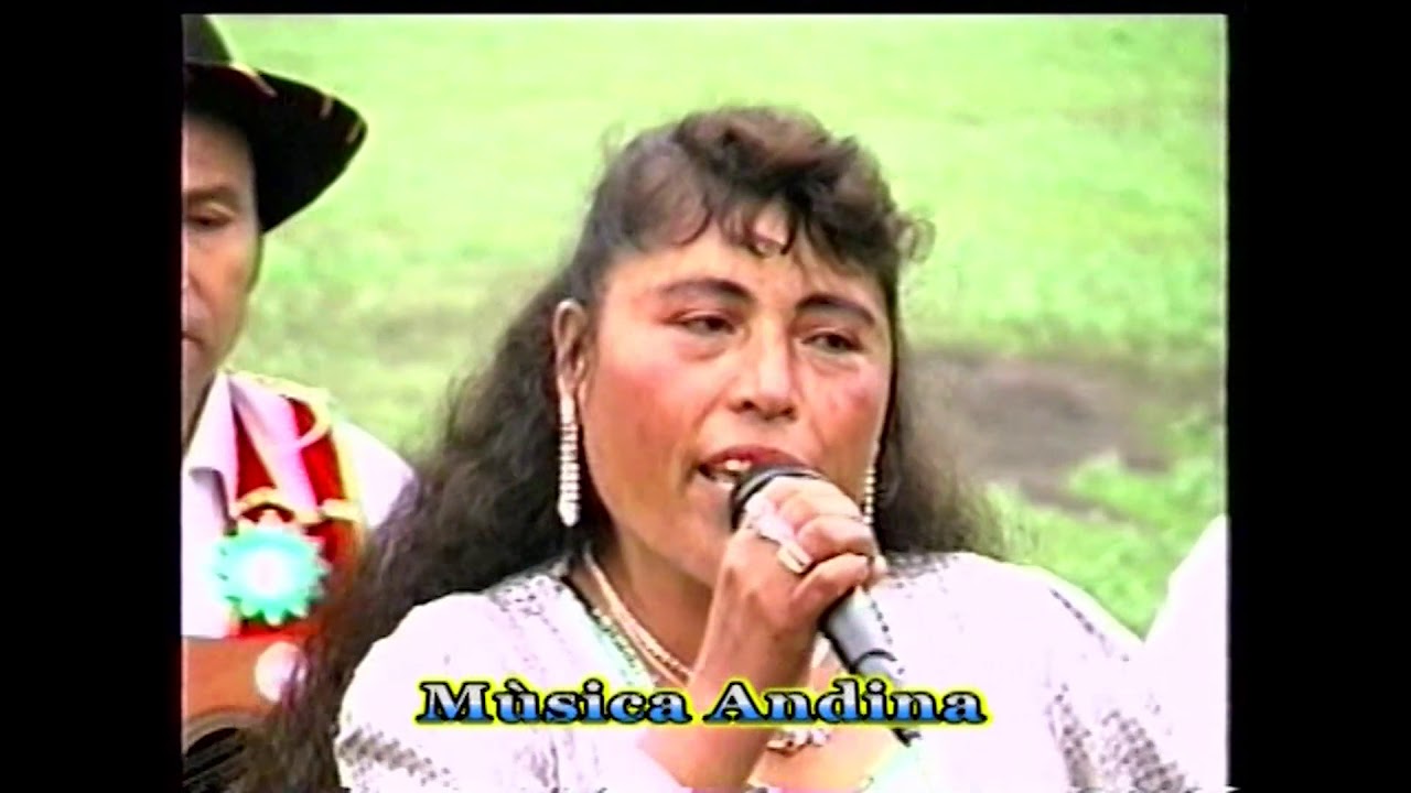YANAMINA DE ORO (LA CULPA NO TENGO YO) MUSICA ANDINA DE ANCASH