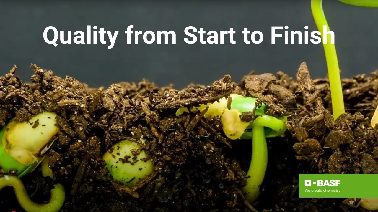 BASF Rhizobial Inoculants: Quality from Start to Finish