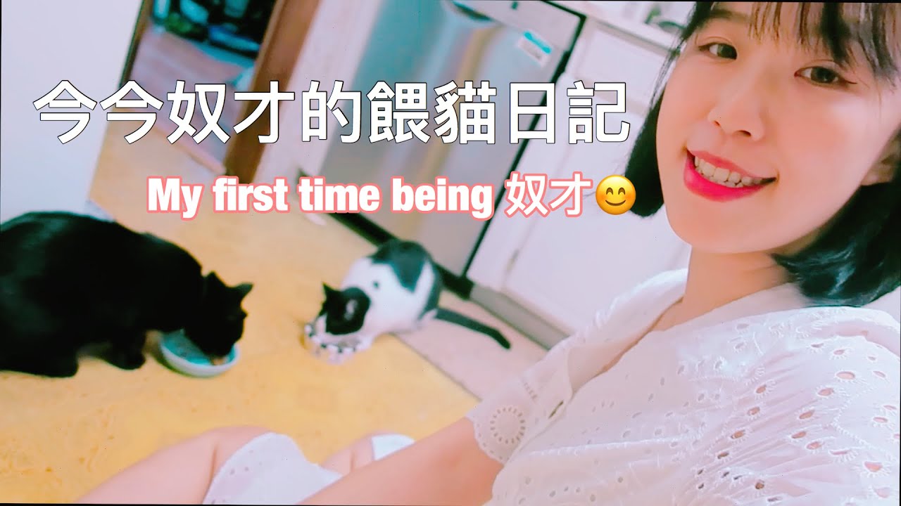 今今奴才的5天4夜餵貓日記｜Nancy今今♡