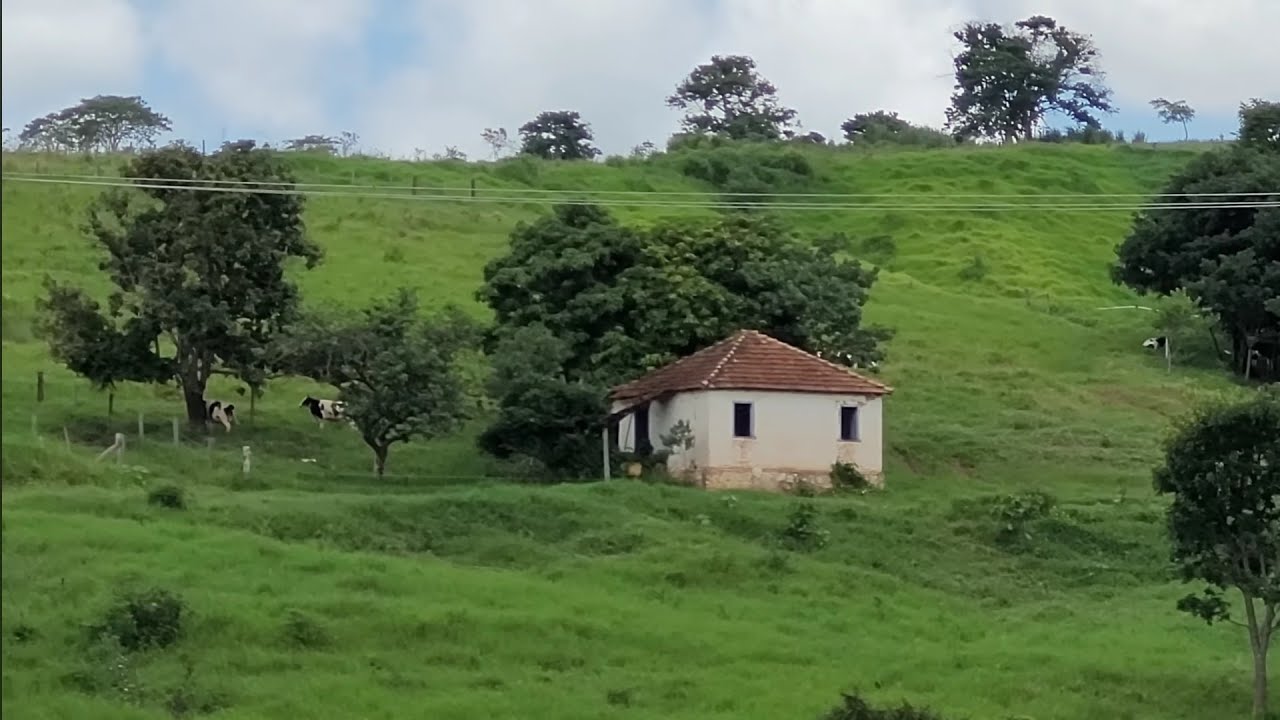 Fazenda Venerando São José do Rio Pardo
