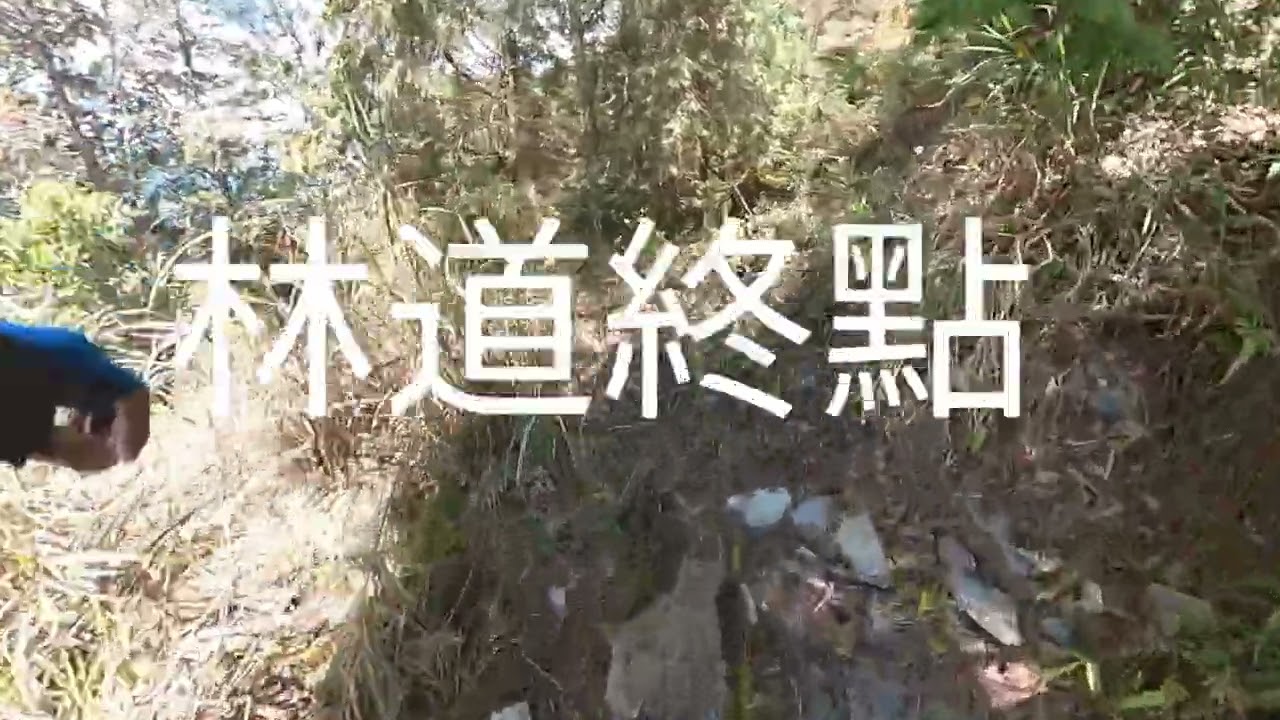 2022.4.11🚵‍♂️裡冷林道6~50k全段