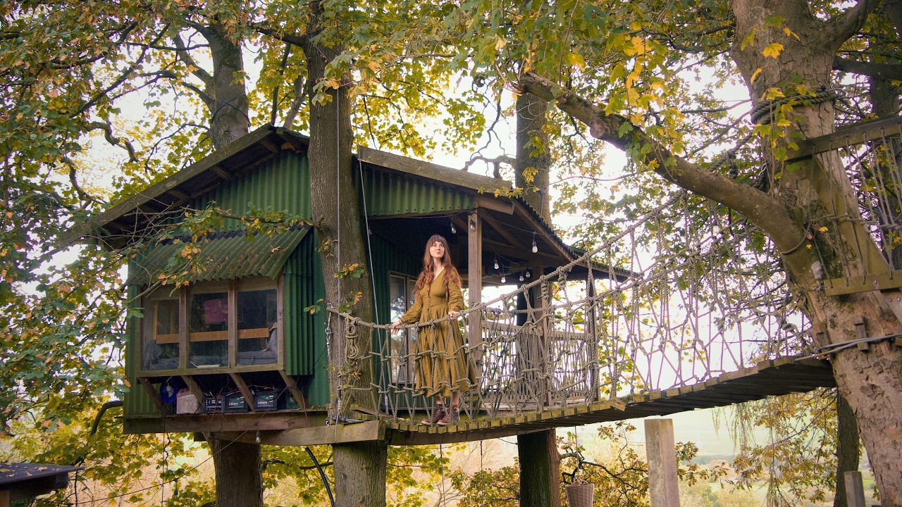 My Quiet Life Alone in a Treehouse