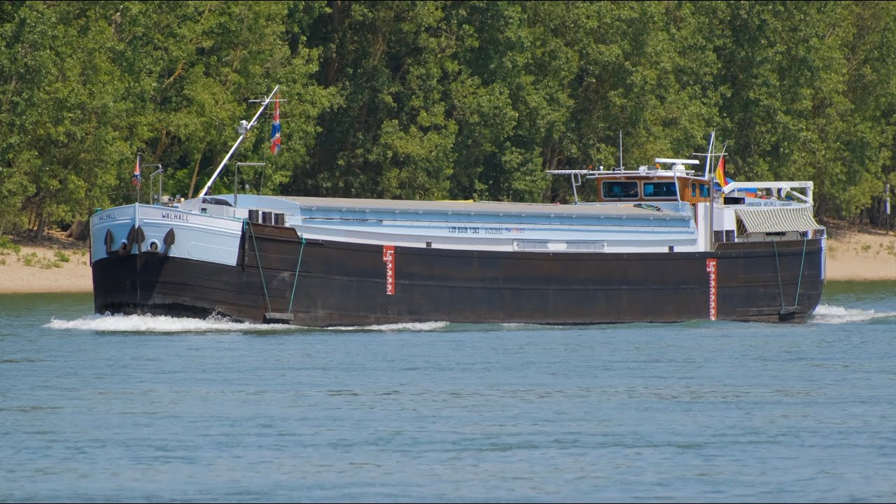 #122 Shipspotting/Binnenschiffe auf dem Rhein: Seltenes Spits am Oberrhein, Walhall auf Höhe Biblis