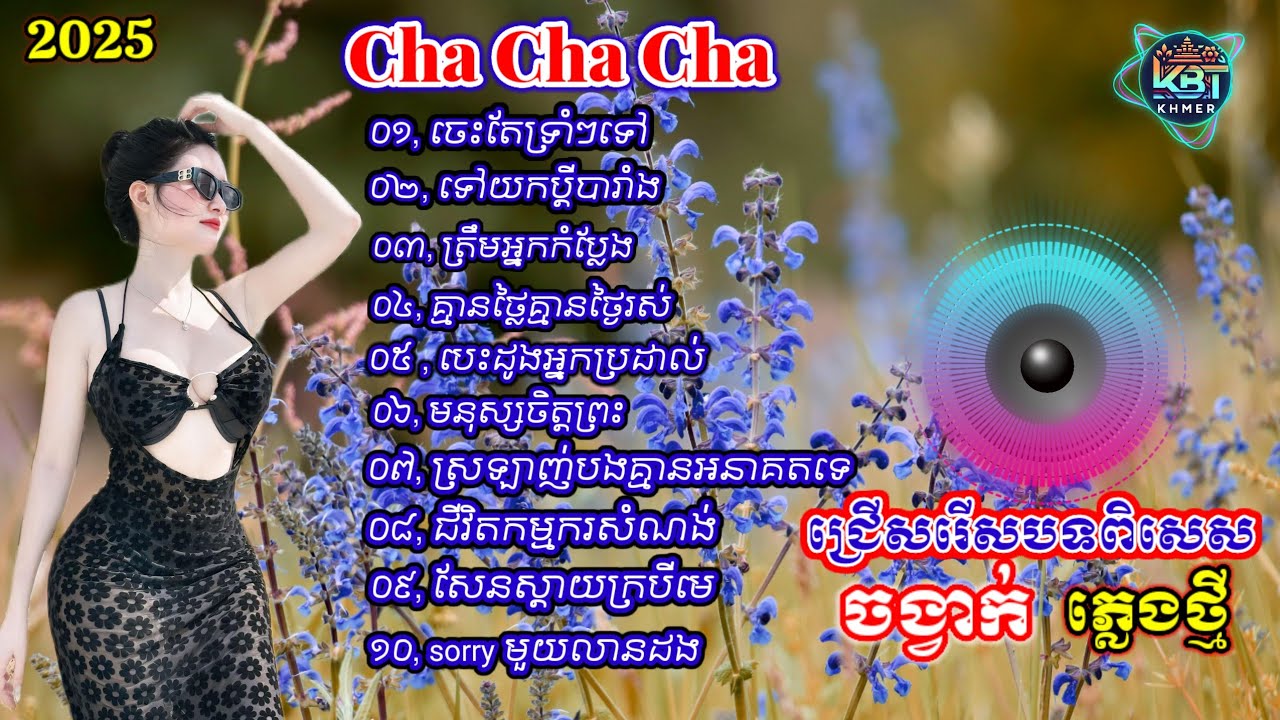 ជ្រើសរើសបទចាស់ពិរោះៗ | Nhạc khmer Cha Cha Cha 2025 | Nhạc khmer chọn lọc 2025 - Cover Lâm Thọi Song
