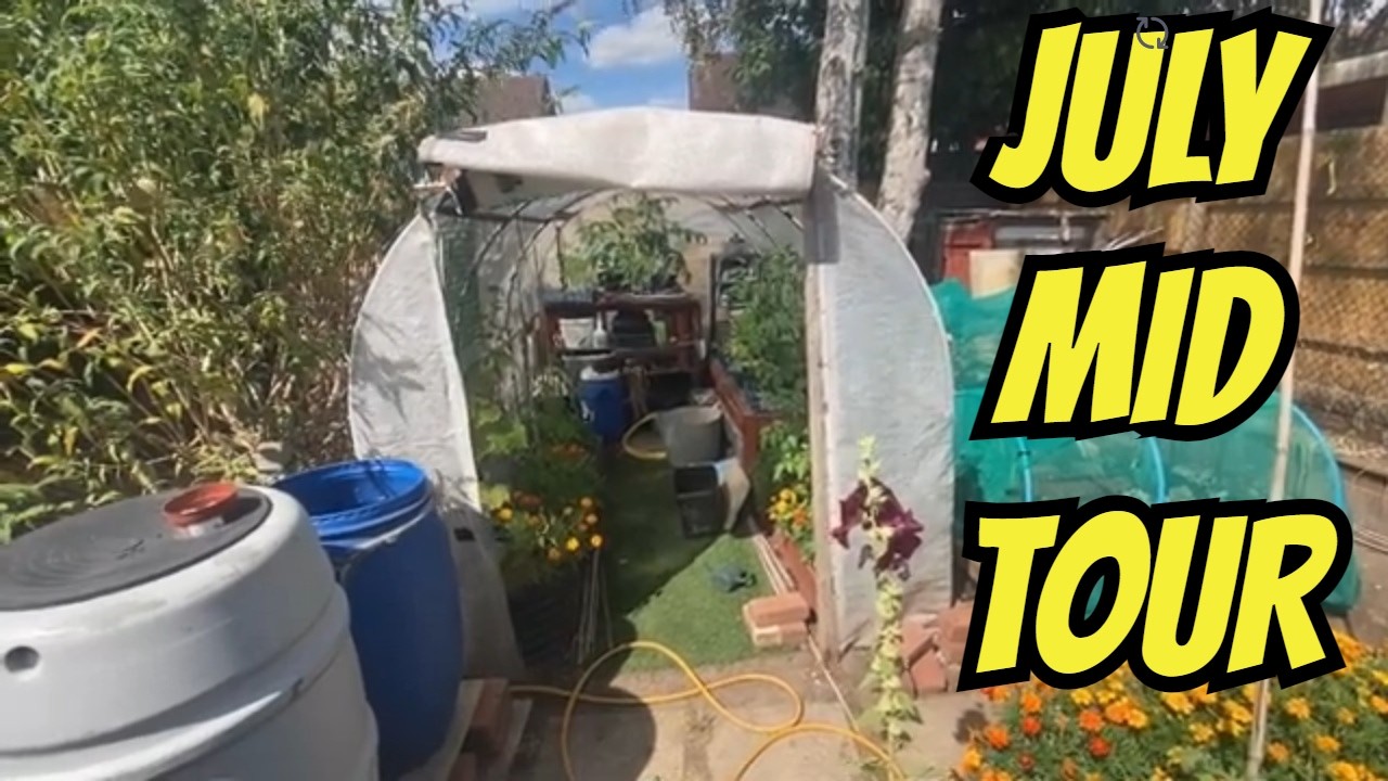 MID JULY ALLOTMENT TOUR #275 ON 16 July 2025