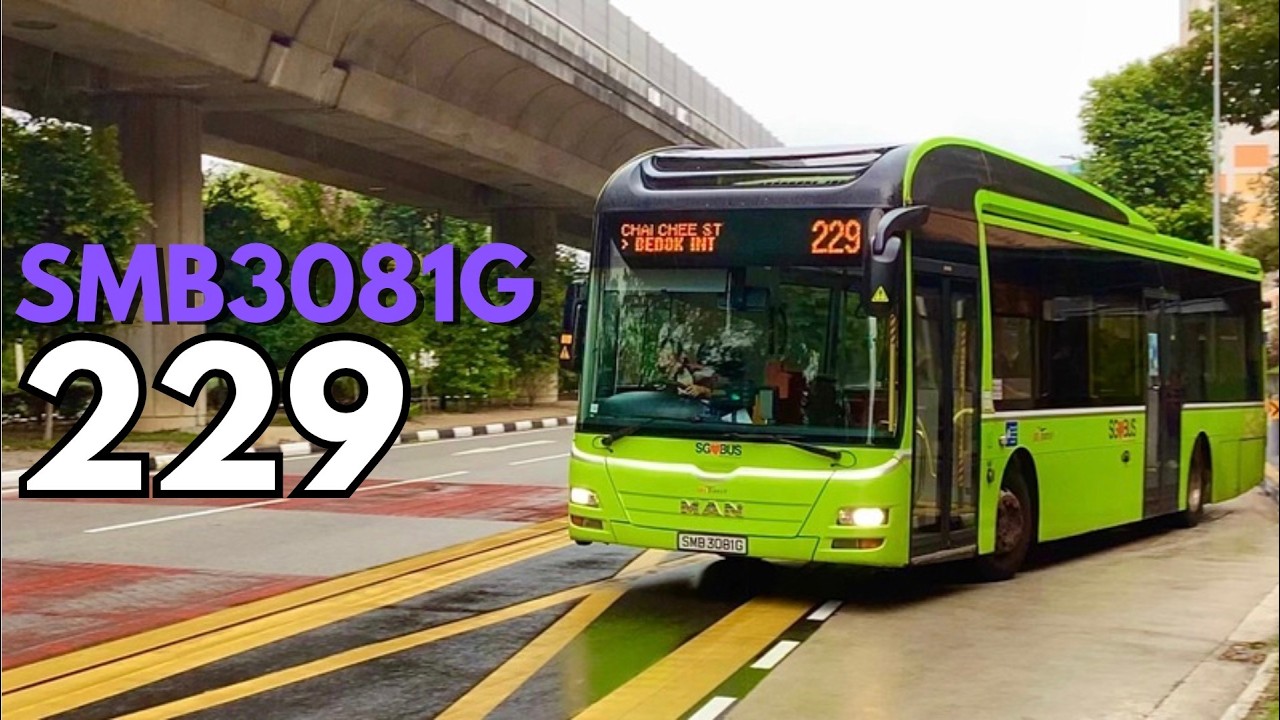 [SBST] 🟢 SMB3081G on 229