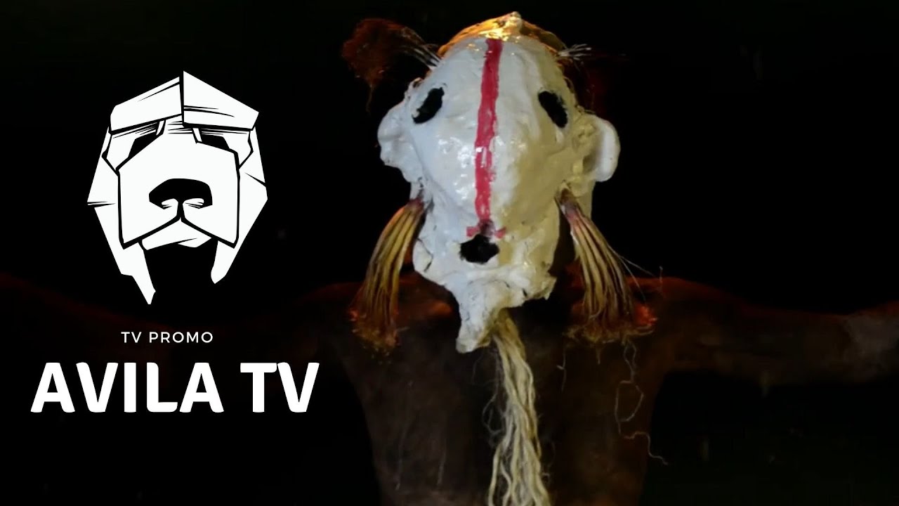 Avila TV Promo