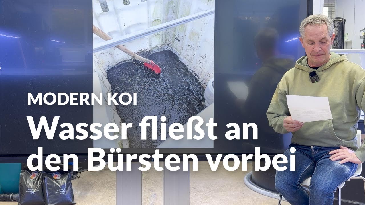 Warum sind meine B&uuml;rsten im IBC-Filter ungleichm&auml;&szlig;ig besiedelt? | Modern Koi Blog #8004
