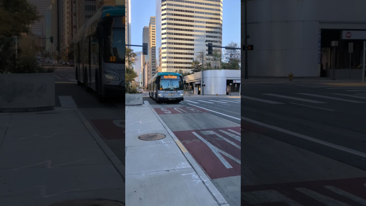 The Free MetroRide - Curious Colorado Transit #1 