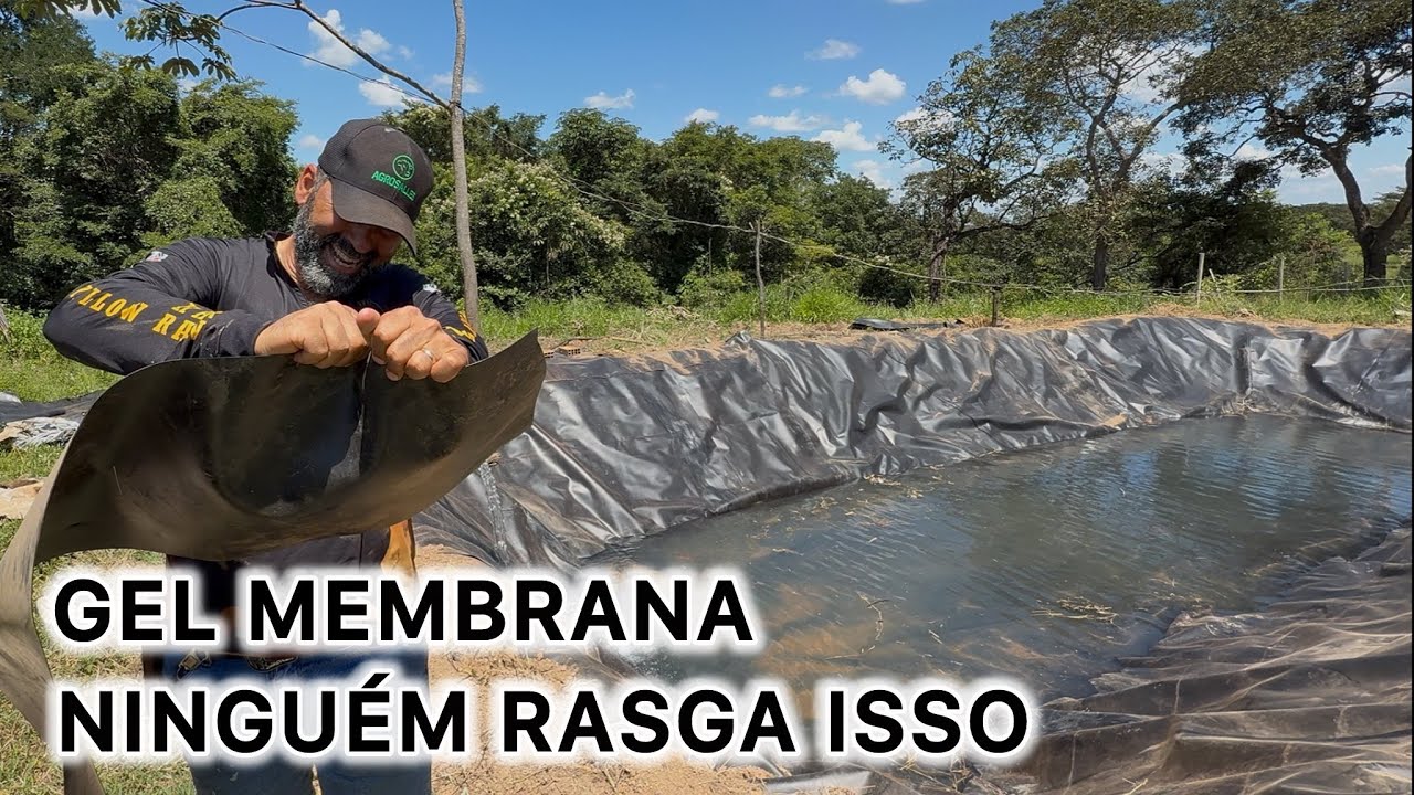 GEL MEMBRANA : A MÁGICA QUE DEIXOU MEU TANQUE DE PEIXES MAIS ESTILOSO E EFICIENTE.