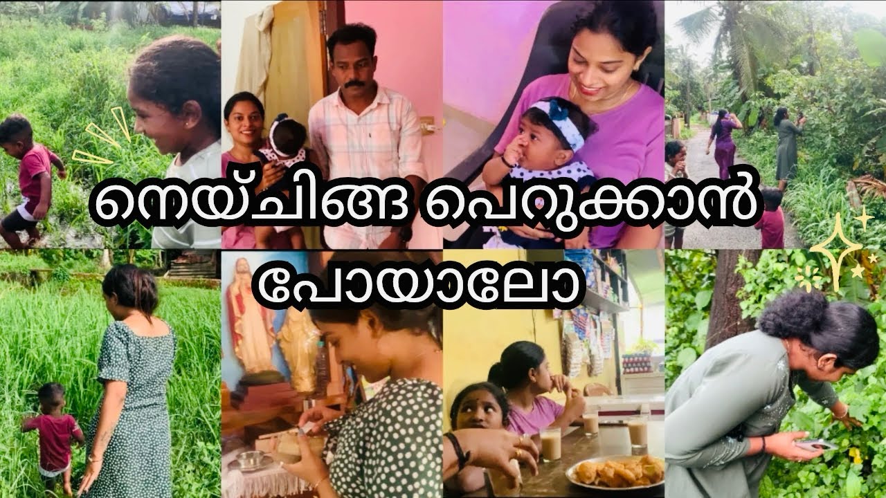 നാടും വിശേഷങ്ങളും 🏡ഇത് ഒച്ച് 🐌അല്ല gys😁 day in my life🤍 #vlog #family #funny #viralvideo #like 