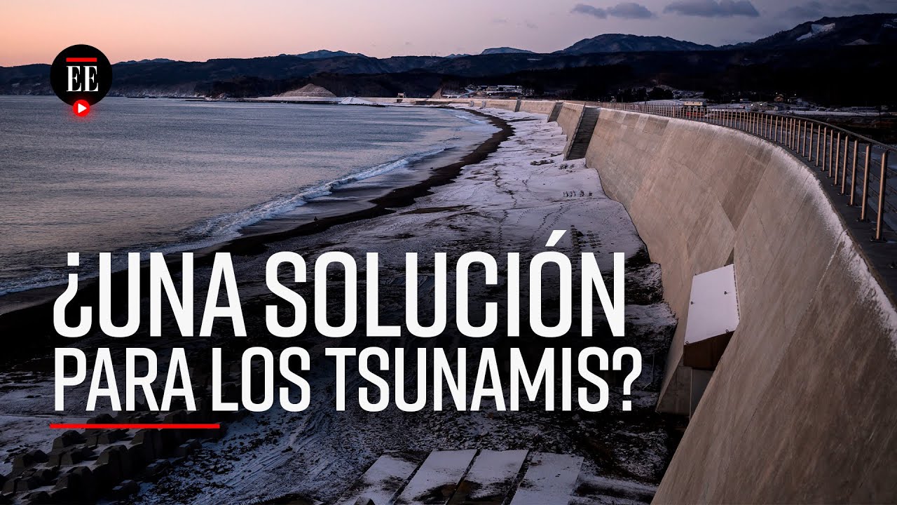 Los muros marítimos en Japón: un legado del tsunami de 2011  - El Espectador