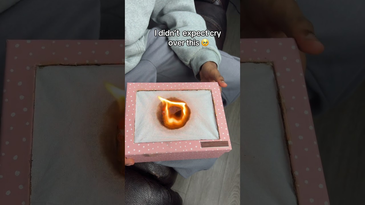 Best gift ever 🥹❤️ #doglover #pets #giftideas #crystalball #dog