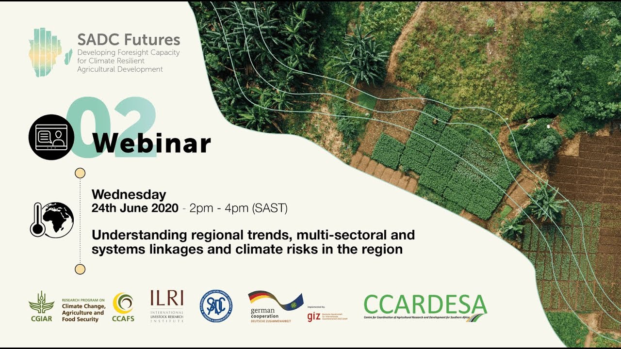 SADC Futures webinar series - Webinar 2: Foresight Tools and Methods - Analysis and Interpretation