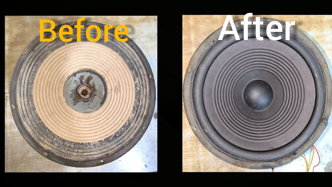 12 inchi speaker recone