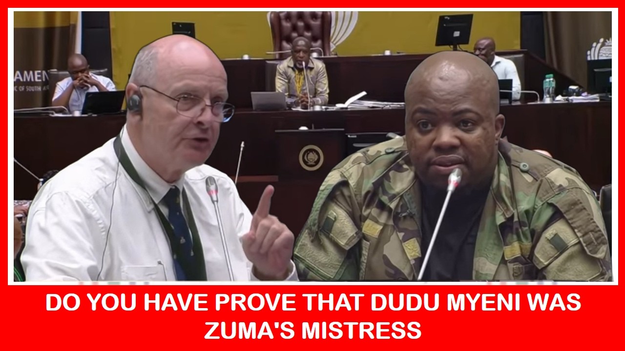 DO YOU HAVE PROVE THAT DUDU MYENI WAS ZUMA'S MISTRESS