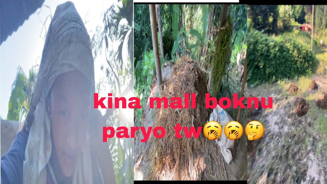  MAALL  BOKDAII  MERO KAM HEJO KO KAM 🥱🤭🤭 BARIMA AB KAM CHHA 🤔🤭🤭