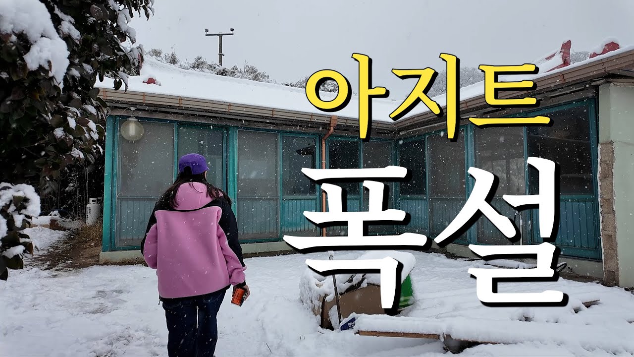 엄마표 GOD김치로 만든 갓김치만둣국 🥟🥣