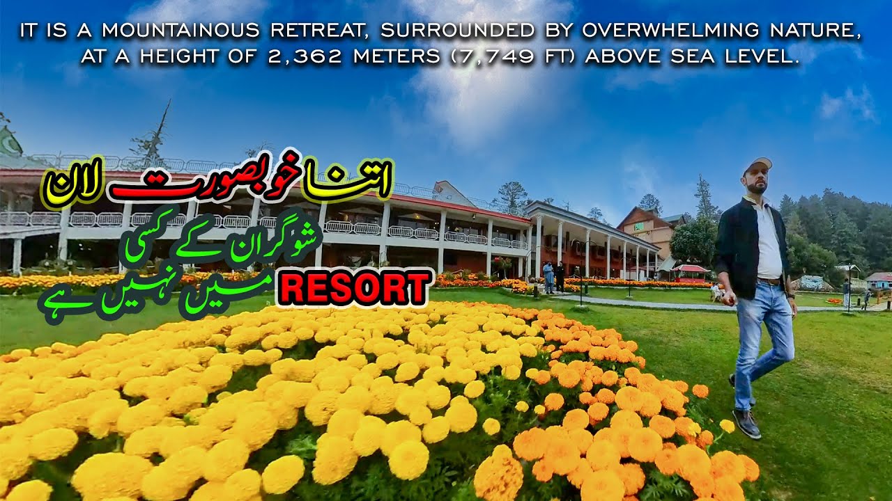 Pine Park Hotel Shogran l  EXPOSED Best Kept Secret in Shogran