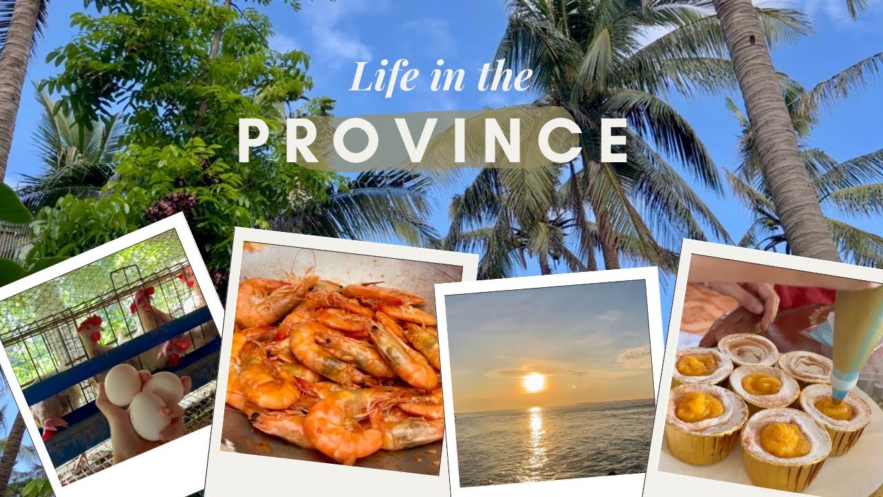 life in province | slow mornings, calm views, full plates, farm & harvesting eggs 🌾 