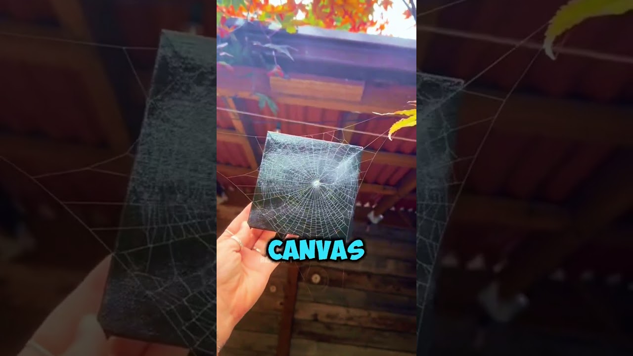 Вы знали, что паутина стоит денег? 🕸️💰 #shortfeeds #shorts