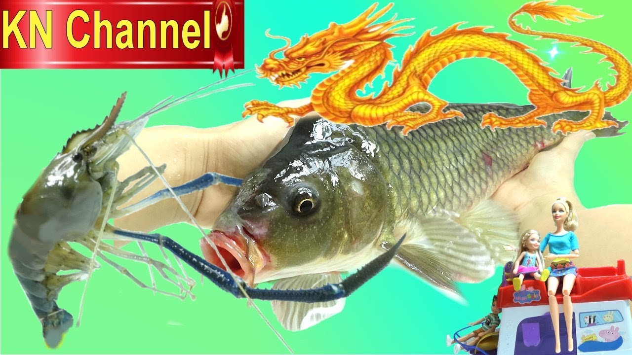 Búp bê KN Channel ĐI BẮT CÁ RỒNG ??? SĂN TÔM CÀNG XANH KHỔNG LỒ