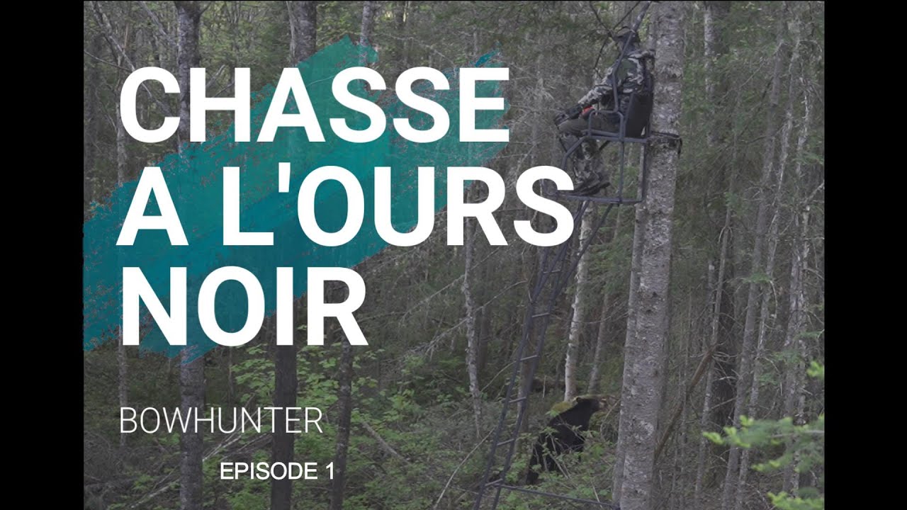 CHASSE A L'ARC DE L'OURS NOIR ! (Part.1/2)
