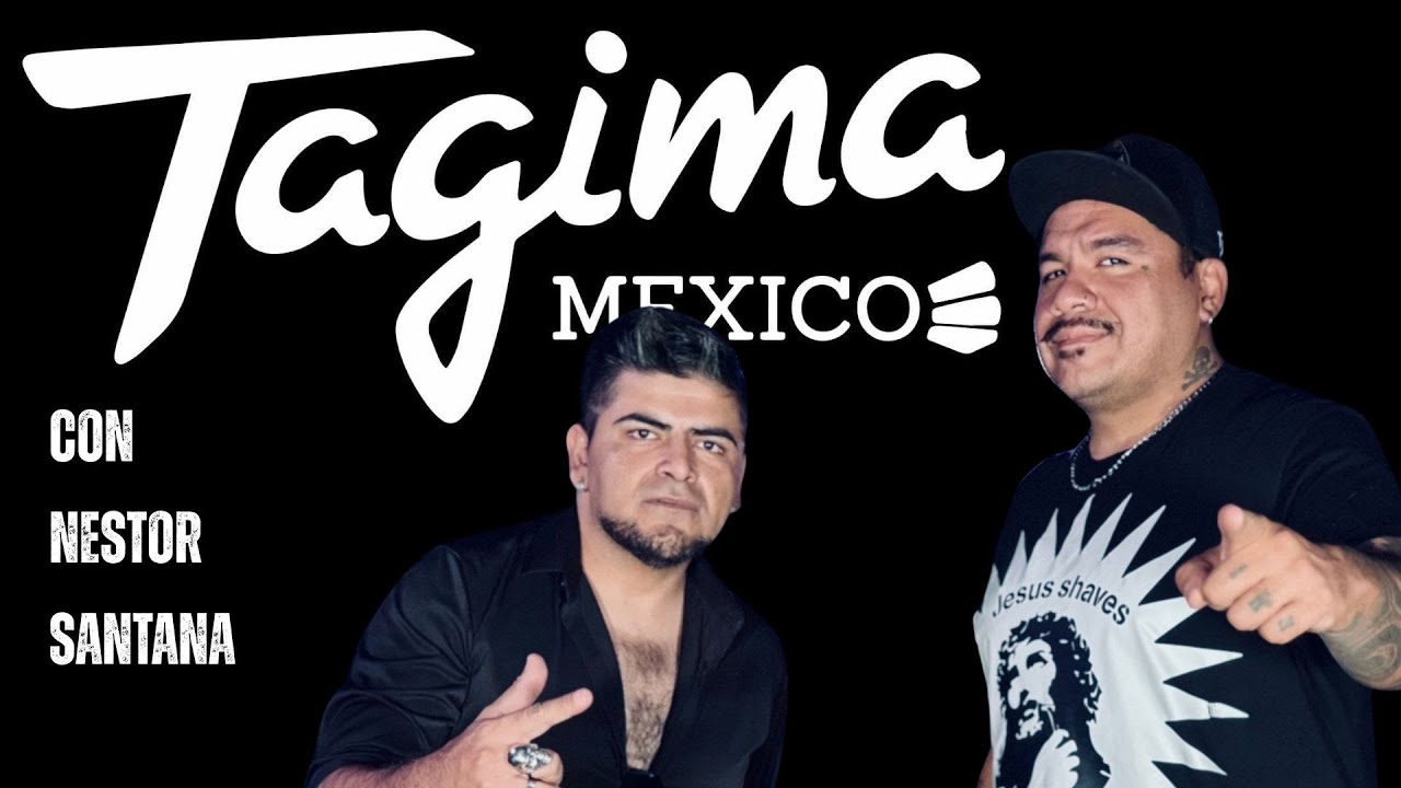 Guitarras Tagima México