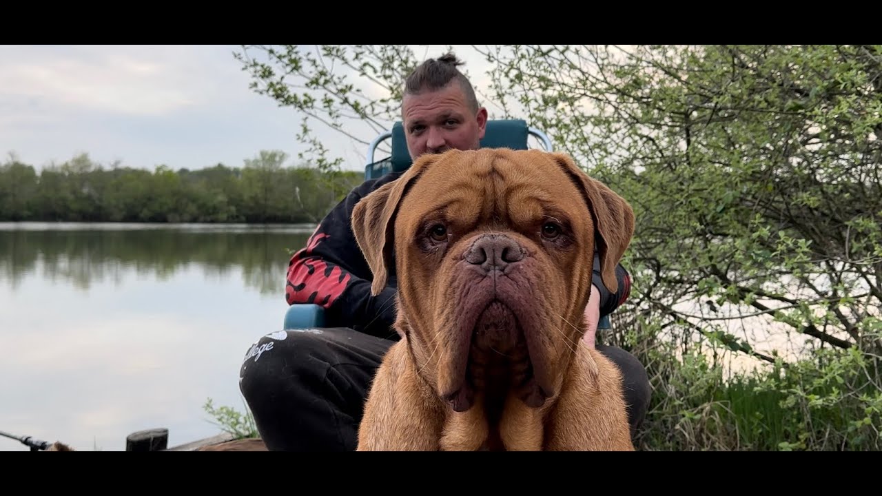 carpfishing 