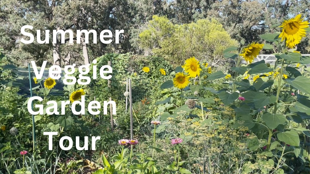 “Summer Garden Tour | Veggies, Berries, Fruit Trees + Pumpkins & Corn (Homestead)”