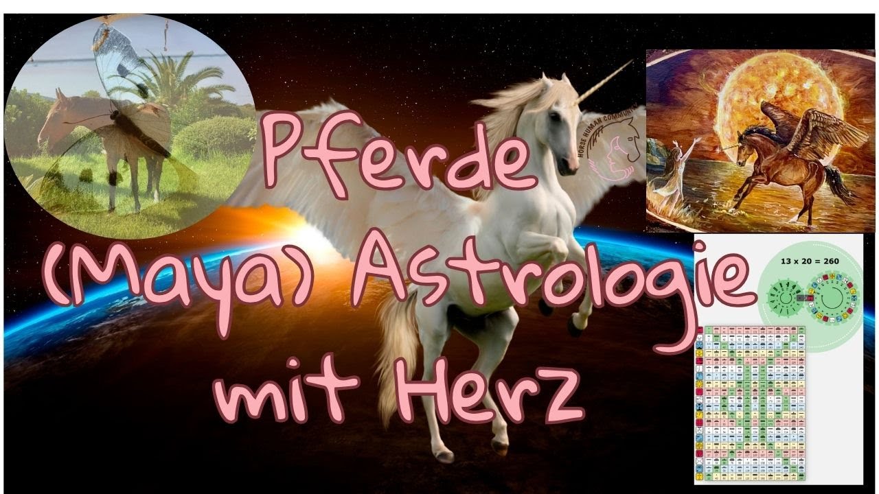 Pferde - Kommunikation  zwischen Welten und Dimensionen