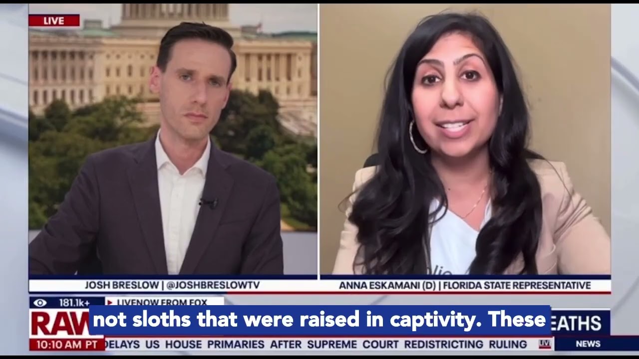 Rep. Eskamani Joined LiveNOW from FOX to Talk About the so-called &ldquo;Sloth World&rdquo;