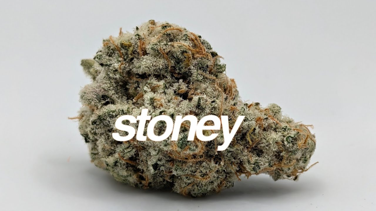 Thca Stoney Branch MAC 1 Cap's Cut