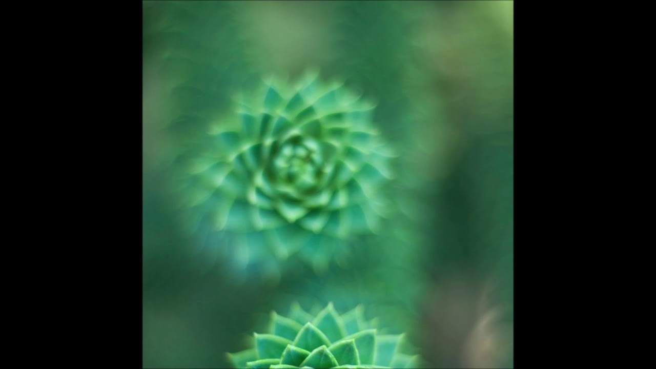 / immrcy /. - ꒰⁎&prime;̥̥̥ dissolve ⌑ ‵̥̥̥ ꒱