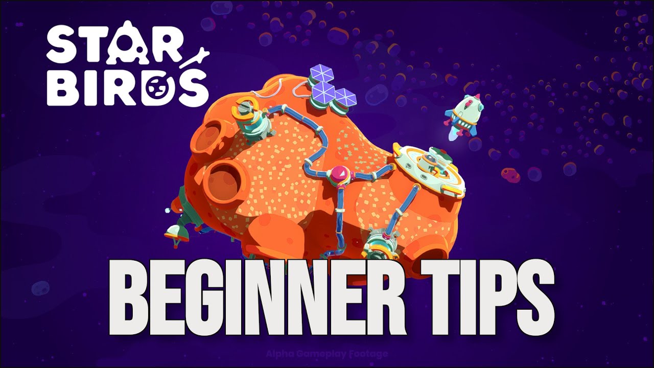 10 Beginner Tips For Star Birds