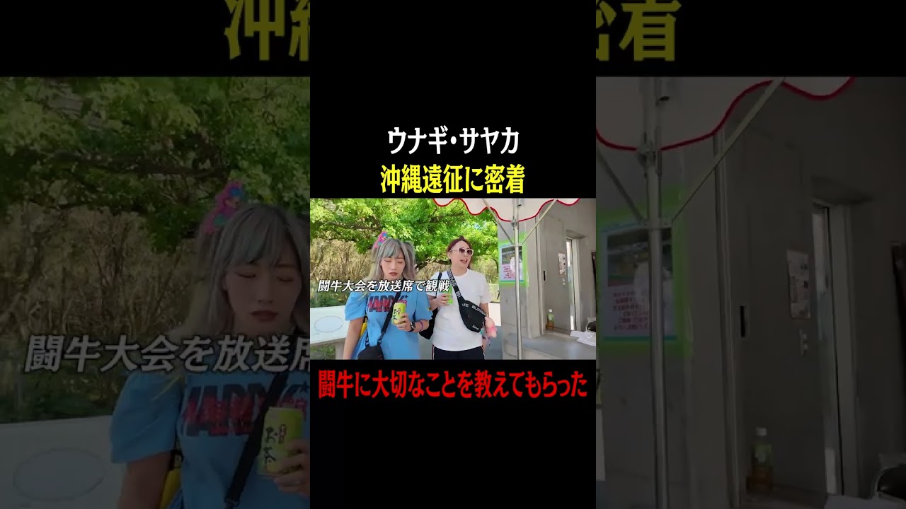 闘牛に大切なことを教えてもらった