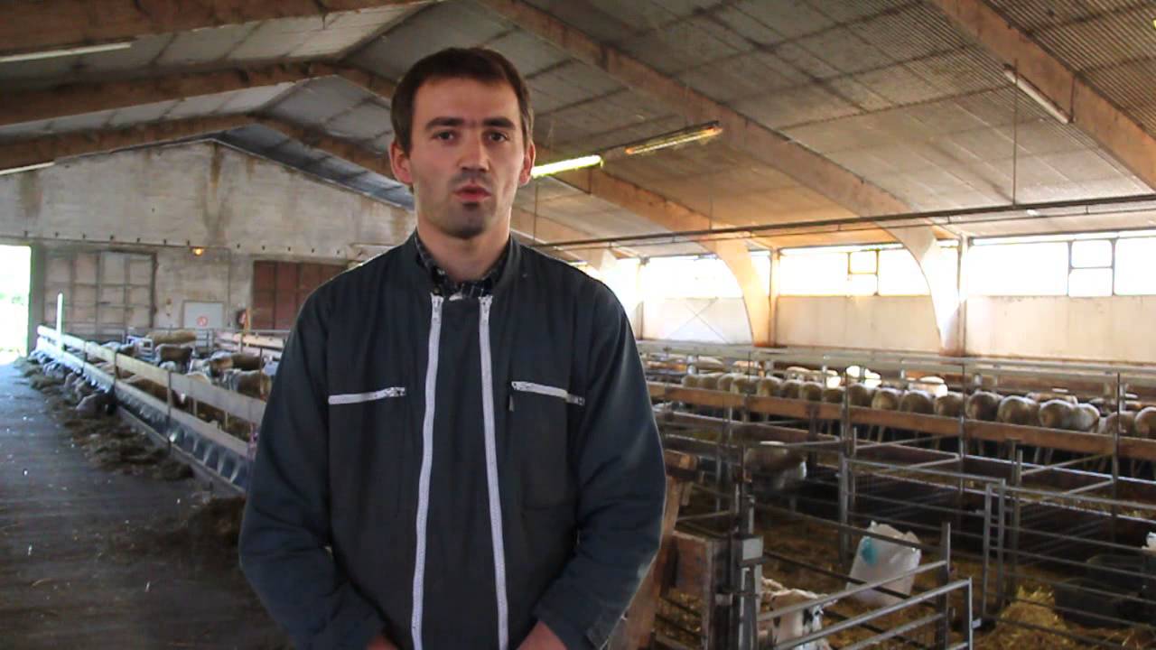 Visite de la bergerie de la ferme de Grignon