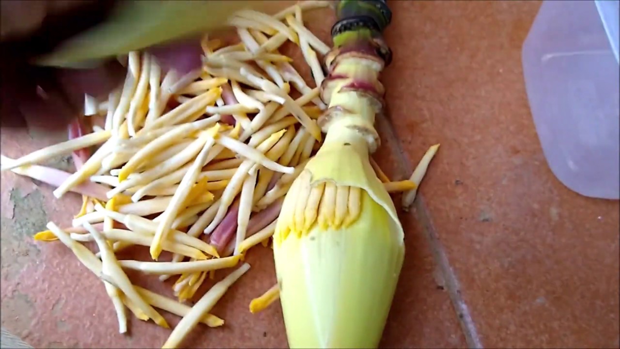 149-Refogado com a FLOR DA BANANEIRA
