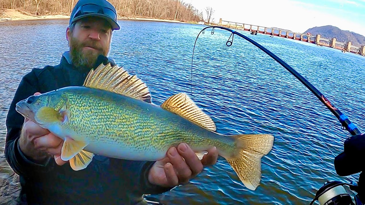 This Dam was LOADED with Fish! | Mississippi River Spring Fishing!