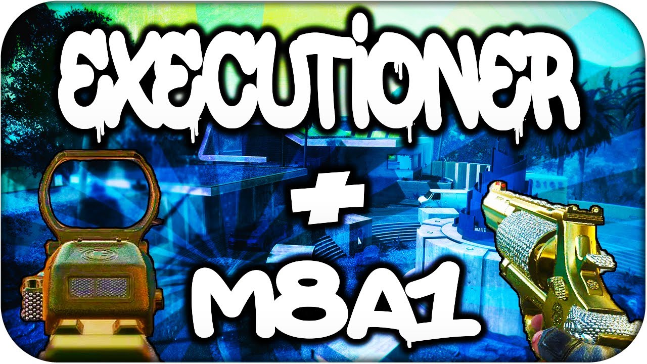 RAID!! M8 + Executioner - Black Ops 2