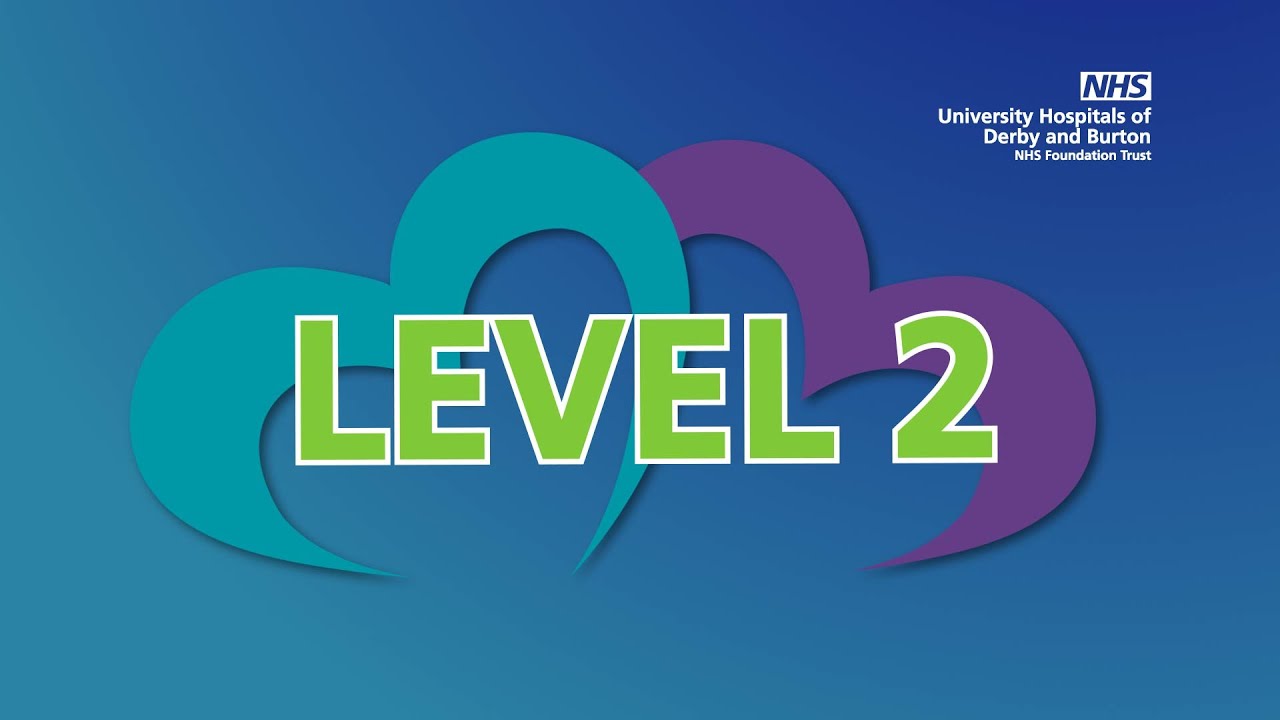 Cardiac Rehabilitation Exercise Class Level 2